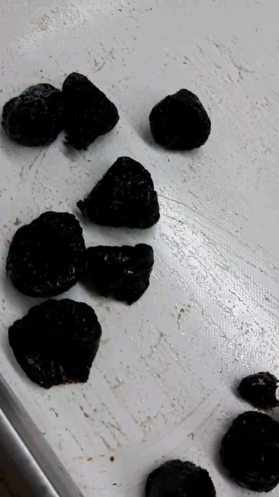 ASHLOCK – MACHINED PITTED PRUNES – Dry plums
